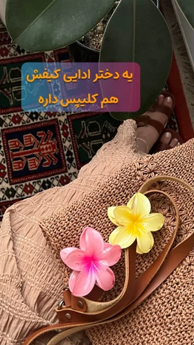 کلیپس میدی