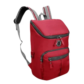 کوله پشتی آیمکس مدل IMAX - MAX082