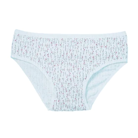 شورت اسلیپ زنانه کش کاغذی چاپدار _بسته 3 عددی-بلکس (نیکوتن پوش)