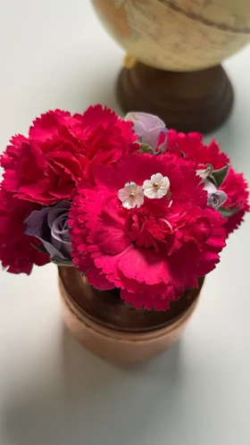 گوشواره های شکوفه