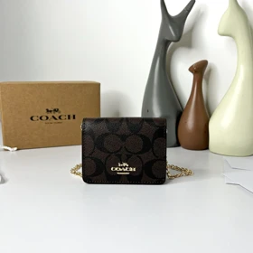 کیف مینی کوچ Coach