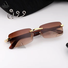 عینک آفتابی فریم لس کارتیه Cartier 7839 (طیف رنگی اول)