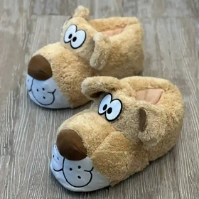 پاپوش تدی
