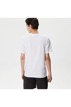 تیشرت مردانه lacoste