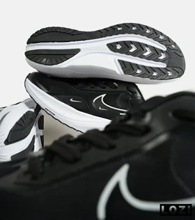 کفش کتانی مردانه مشکی NIKE Lebron 22 Guide