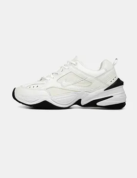 کفش مردانه Nike
