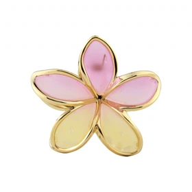 کلیپس زنانه طرح پلومریا