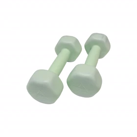 دمبل رادیس فیت مدل RFP1 وزن 1 کیلوگرم بسته 2 عددی