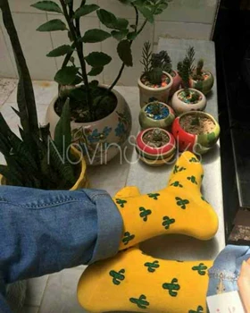 جوراب ساق‌دار کاکتوسی زرد