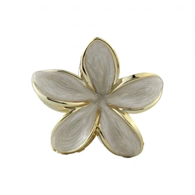 کلیپس دخترانه فانتزی پلومریا