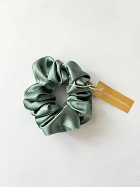 اسکرانچی 4040841