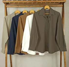 شومیز دکمه مخفی سیلک(SN-4-12-6042) (نوک مدادی)