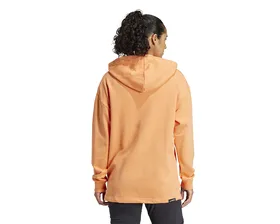 سویشرت های فضای باز Adidas W Terrex Logo Hoody PC_IS7227