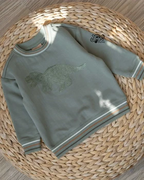 دورس پسرانه طرح دایناسور