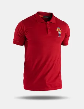 پولوشرت مردانه Polo