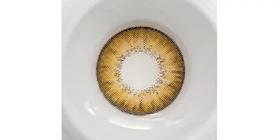 لنز رنگی فصلی فستیوال Festival Morning Q