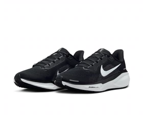کفش دویدن Nike W Pegasus 41 PC_FD2723-002