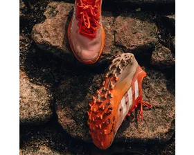 کفش های دویدن در تمام زمین Adidas Terrex Agravic 3 W PC_IG6582
