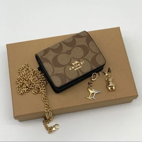 کیف مینی کوچ Coach