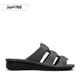 دمپایی طبی مردانه هومان طوسی