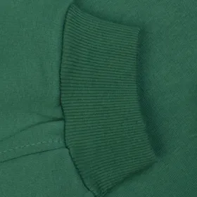 پلیور ادیسه