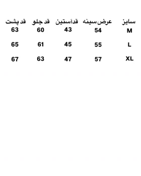شومیز بیسیک