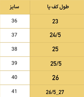 کفشSqua22