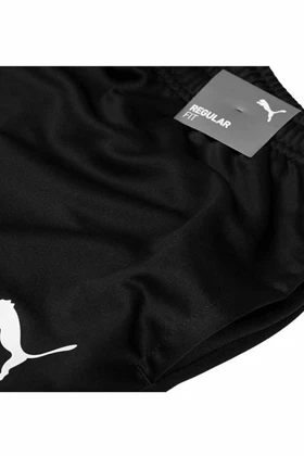 شلوار گرمکن مردانه puma