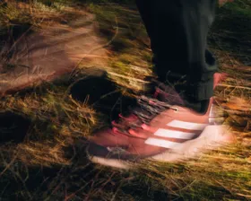 کفش های پیاده روی Adidas Terrex Trailmaker 2 Gtx W PC_IG1767