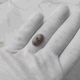 عقیق شجر قائن اصل کد 23