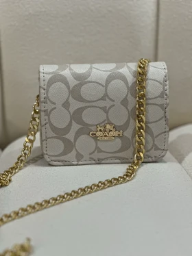 مینی بگ کوچ