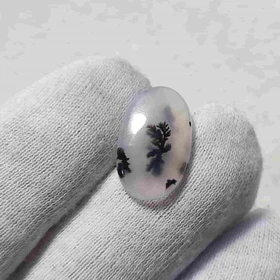 عقیق شجر قائن اصل کد 15