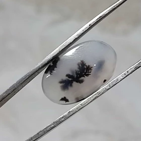 عقیق شجر قائن اصل کد 15