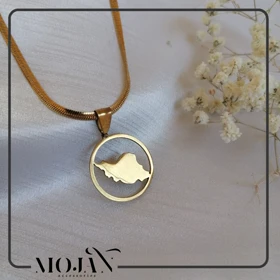 پلاک استیل ایران با زنجیر ماری کد 210