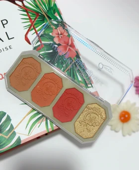 هایلایتر و رژگونه 4 رنگ سان لایت