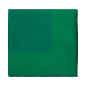 روسری زنانه اکسلنس مدل W0220008SC