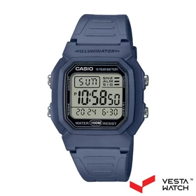 ساعت مچی کاسیو CASIO مدل W-800H-2AVDF
