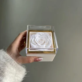 باکس چرخشی سفید جاودان