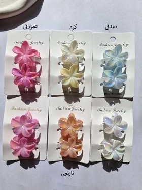 پلومریای کروم