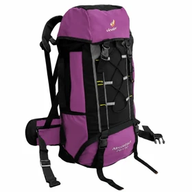کوله پشتی کوه دیوتر کد DEUTER - DTR307 (بنفش)