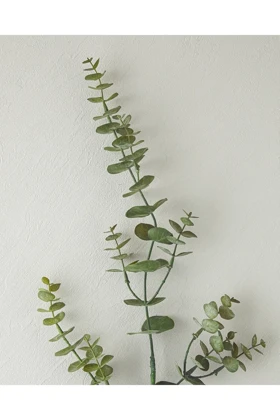 گل مصنوعی تک‌شاخه English Home مدل Eucalyptus - سبز