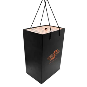 جعبه کادویی گیشا اسپرت مدل Tiger-1402 ابعاد 15*21*31 سانتی متر