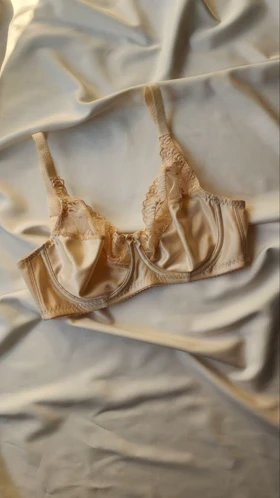 سوتین تک دانتل و پرلون فنردار برند SHANDERMAN کد: 2280