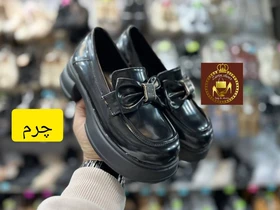 لوفر کالج لژدار زنانه طبی پاپیون میو میو