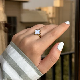 نیم ست استیل زنانه ونکلیف کد 106