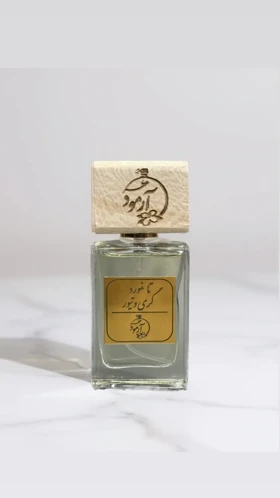 عطر تام فورد گری وتیور