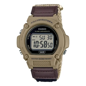 ساعت مچی مردانه کاسیو CASIO W-219HB-5AVDF