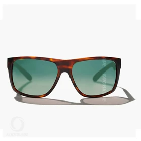 عینک ورزشی حرفه ای BEELINE Brown lens green کد 124