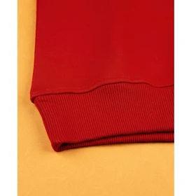 سویشرت مردانه مدل SB-SS-0078-D2