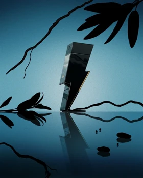 عطر کارولینا هررا بد بوی Carolina Herrera Bad Boy